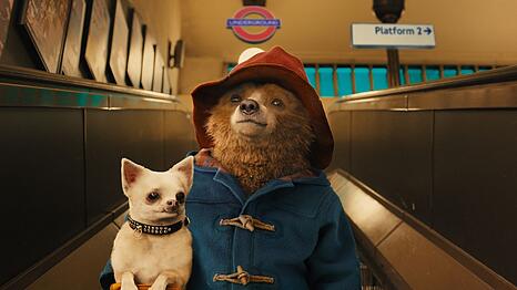 Das Schild "Auf der Rolltreppe m&uuml;ssen Hunde getragen werden" nimmt der Gro&szlig;stadtneuling Paddington sehr genau ...