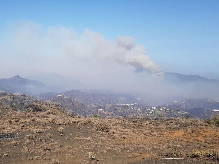 Das Feuer hat den Naturpark Tamadaba erreicht. Dort gibt es einzigartige Kiefernwälder.