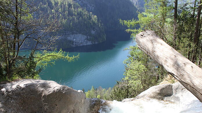Die Gumpe am Königsbach-Wasserfall bei Schönau am Königssee.