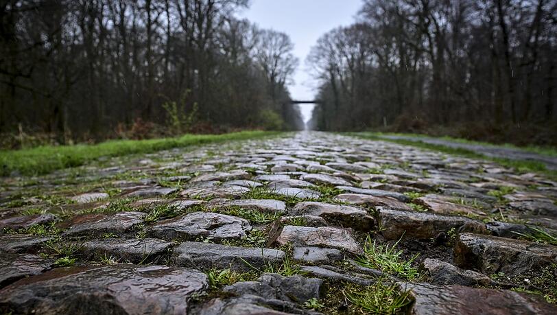 Der Rad-Klassiker Paris-Roubaix findet am Sonntag statt. Vor dem Arenberg-Wald soll nun eine Schikane das Fahrerfeld abbremsen.