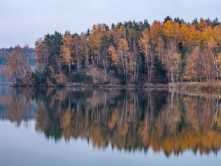 Herbstlich gefärbte Bäume spiegeln sich im Abendlicht im Knappensee. Foto: Armin Weigel/dpa