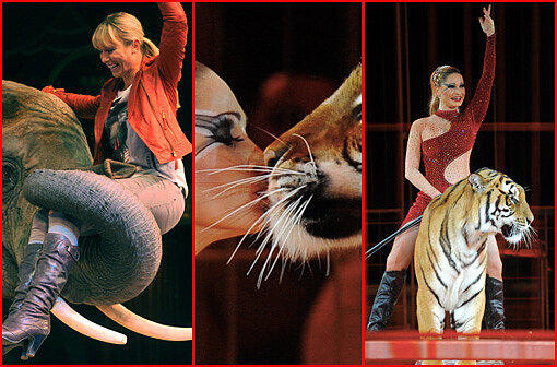 Spektakuläre Bilder von der neuen Circus-Krone-Show: Am Sonntagabend wurde das neue Winterprogramm präsentiert.