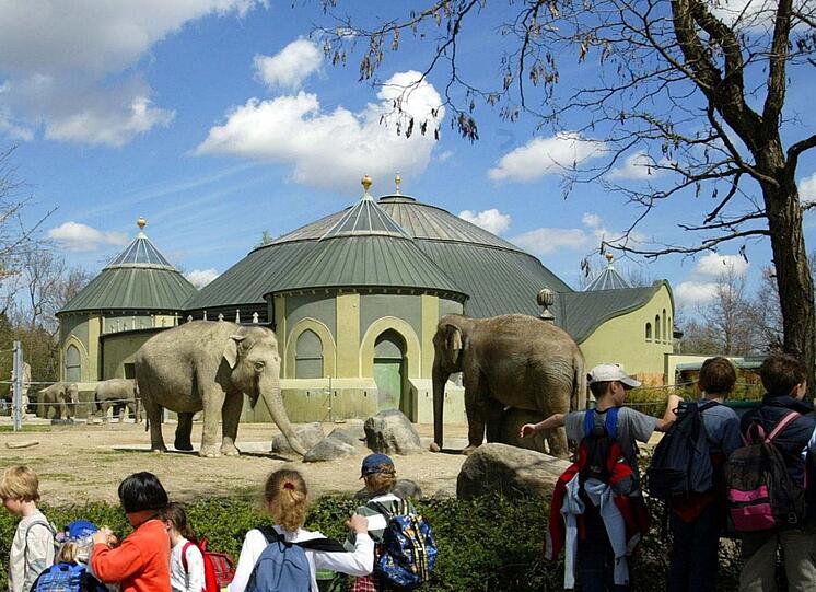 Begeisterte Zoo-Besucher vor dem Elefantengehege. Das denkmalgeschützte Elefantenhaus wird gerade saniert.