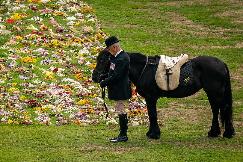 Emma, das Lieblingspferd der Queen, steht bei der feierlichen Prozession mit dem Sarg von Königin Elizabeth II. auf dem Gelände von Schloss Windsor neben einem Blumenmeer.