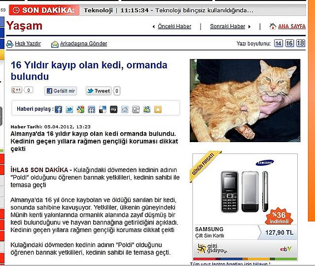 Türkische Medien werden aufmerksam.