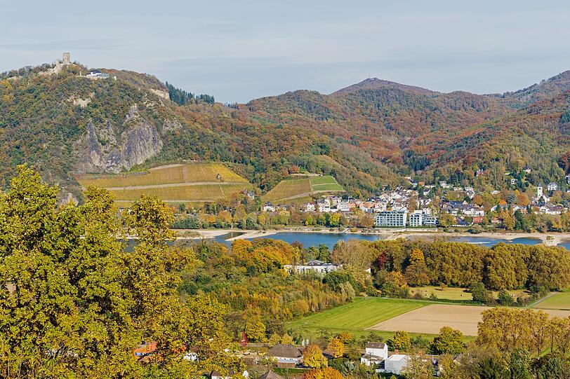 Ganz großes Herbst-Kino verspricht auch das Siebengebirge bei Bonn - mit bunten Wäldern, dem Rheintal, Weinbergen und der Drachenburg. Auf dem Drachenfels thronend ist die Burg über eine historische Zahnradbahn erreichbar. Vom Drachenfels aus hat man einen herrlichen Ausblick über die herbstliche Landschaft und den Rhein - perfekt für alle, die eine Auszeit vom Großstadtdschungel NRWs suchen. Ganz großes Herbst-Kino verspricht auch das Siebengebirge bei Bonn - mit bunten Wäldern, dem Rheintal, Weinbergen und der Drachenburg. Auf dem Drachenfels thronend ist die Burg über eine historische Zahnradbahn erreichbar. Vom Drachenfels aus hat man einen herrlichen Ausblick über die herbstliche Landschaft und den Rhein - perfekt für alle, die eine Auszeit vom Großstadtdschungel NRWs suchen.