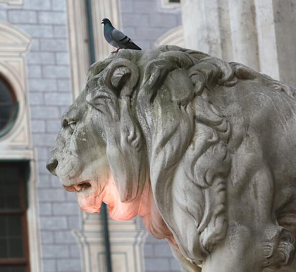 Neben dem Löwen: Das Schauspringen am Odeonsplatz am Dienstag.