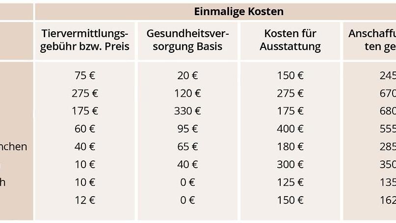 Anschaffung: Diese Kosten kommen einmalig auf Haustierbesitzer zu. Anschaffung: Diese Kosten kommen einmalig auf Haustierbesitzer zu.