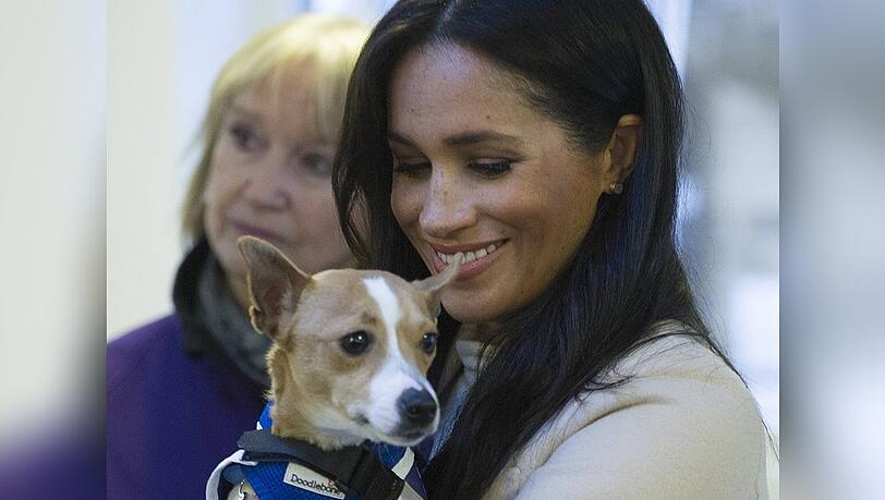 Herzogin Meghan bei einem Besuch der Tierschutzorganisation Mayhew 2019. Herzogin Meghan bei einem Besuch der Tierschutzorganisation Mayhew 2019.