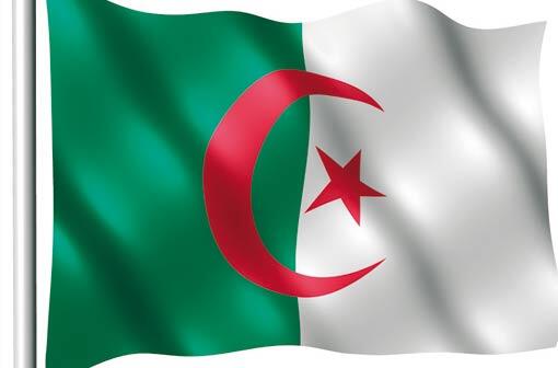 In Algerien ist ein Militärflugzeug abgestürzt.