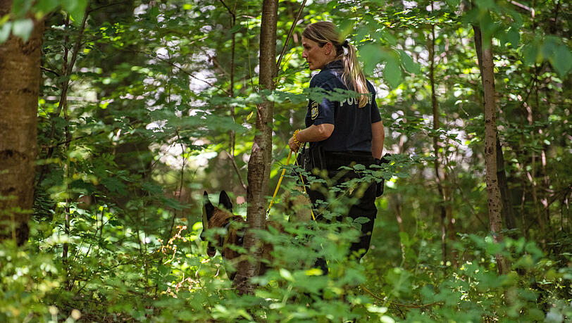 Die Polizei sucht ein Waldstück in der Nähe des Tatorts ab. Die Polizei sucht ein Waldstück in der Nähe des Tatorts ab.