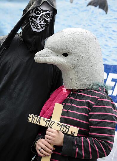 Der Protest gegen Delfinarien reißt nicht ab. Weltweit wollen Tierschützer am Samstag gegen die Haltung von Delfinen in Zoos demonstrieren.