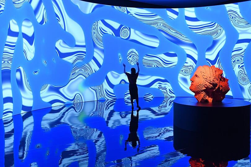 Ein Bllick in die Austellung „Digital bei Nature“ mit Werken von Miguel Chevalier in der Kunsthalle. Ein Bllick in die Austellung „Digital bei Nature“ mit Werken von Miguel Chevalier in der Kunsthalle.