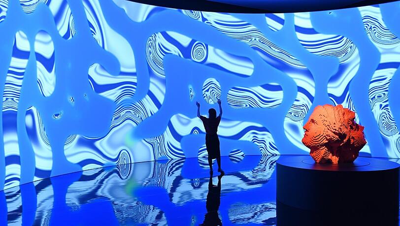 Ein Bllick in die Austellung &bdquo;Digital bei Nature&ldquo; mit Werken von Miguel Chevalier in der Kunsthalle.