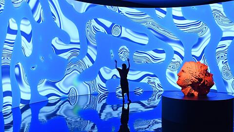 Ein Bllick in die Austellung &bdquo;Digital bei Nature&ldquo; mit Werken von Miguel Chevalier in der Kunsthalle.