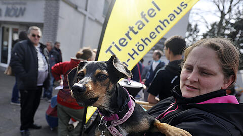 Ein Hund wartet in Köln mit seinem Frauchen vor der Ausgabestelle der Tiertafel. Bedürftige können bei der Tiertafel kostenlos Futter für ihre Tiere abholen.