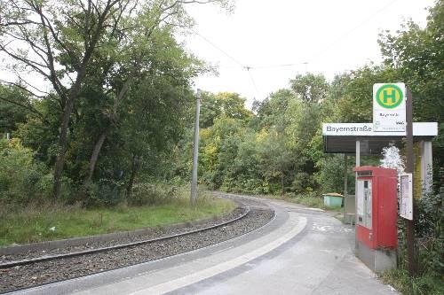 In diesem Gebüsch gegenüber der Haltestelle wurde die 19-Jährige eine Stunde lang an einen Baum gefesselt.
