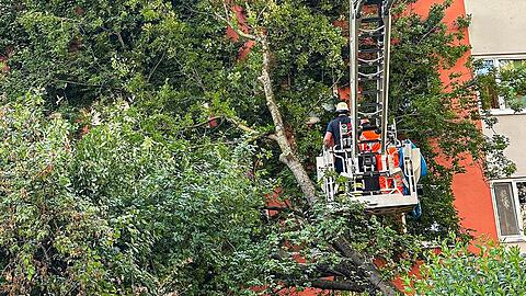 Nach rund drei Stunden hatten die Feuerwehrleute auch die letzten Äste beseitigt.