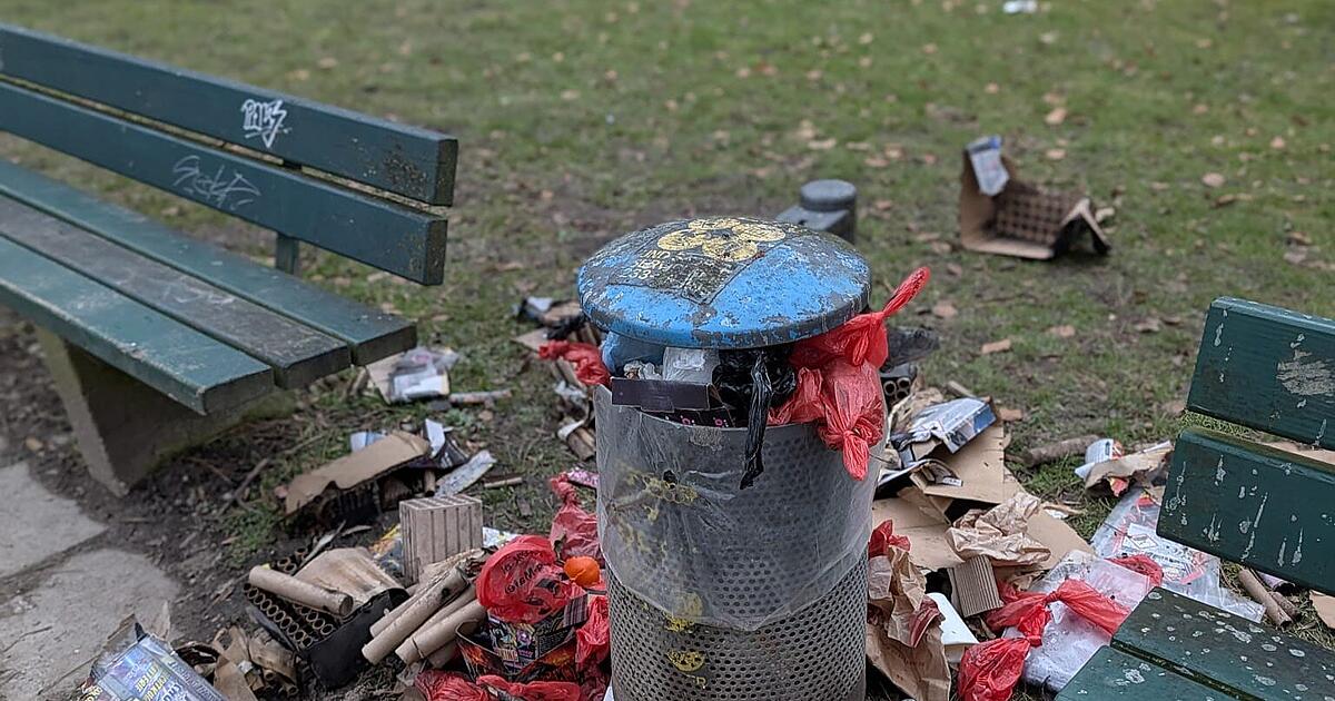-berf-llte-M-lleimer-verdreckte-Gr-nanlagen-Baumg-rtner-will-Verm-llungst-tern-auf-die-Spur-kommen
