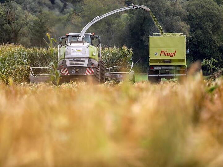 Ein Maishäcksler und ein Traktorgespann ernten ein Maisfeld. Foto: Thomas Warnack/dpa/Archivbild