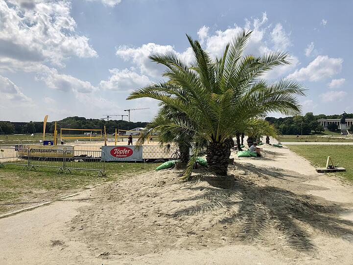 Den Sandstrand auf der Theresienwiese gab es bereits im vergangenen Jahr.