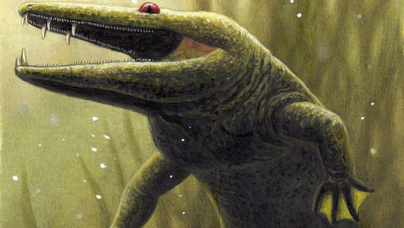 Furchteinflößend: der Mastodonsaurus. Der Unterkiefer so eines solchen Urzeitlurchs ist in Franken entdeckt worden Furchteinflößend: der Mastodonsaurus. Der Unterkiefer so eines solchen Urzeitlurchs ist in Franken entdeckt worden