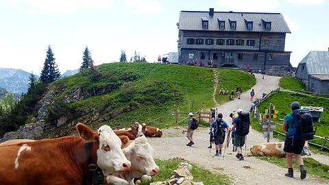 Das Rotwandhaus ist ein beliebtes Wanderziel.