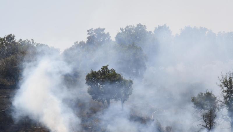 Lodernde Flammen in einem Pinienwald an den Hängen des Ätnas.