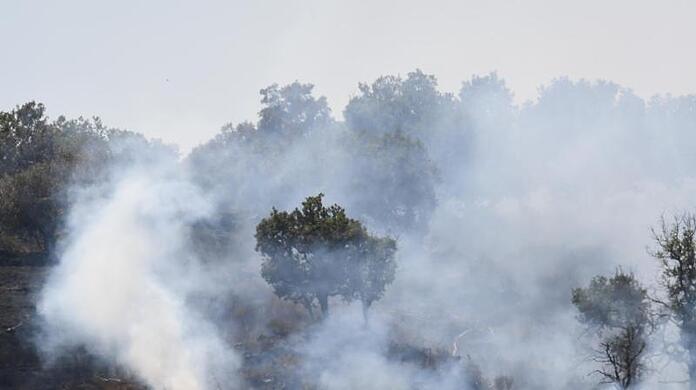 Lodernde Flammen in einem Pinienwald an den Hängen des Ätnas. Lodernde Flammen in einem Pinienwald an den Hängen des Ätnas.