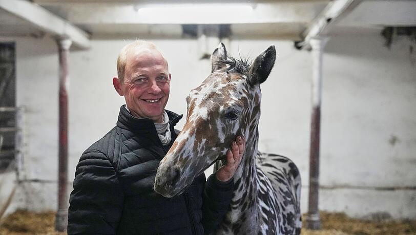 Ein Mann und sein Zebra? Nein: Es ist ein Pferd. Ein Mann und sein Zebra? Nein: Es ist ein Pferd.
