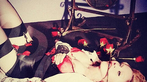 Von wem Pop-Ikone Madonna nur diese Rosen hat?