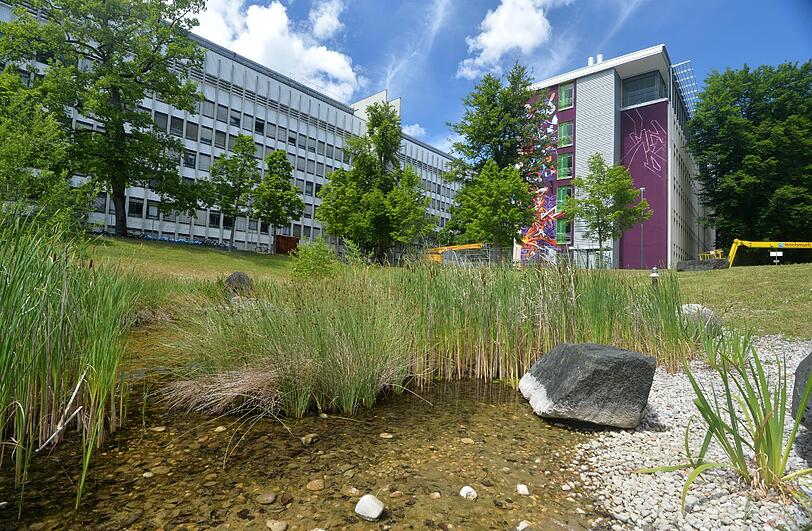Diese großflächigen Graffitis zieren jetzt die Gebäude auf dem ehemaligen Siemens-Gelände.