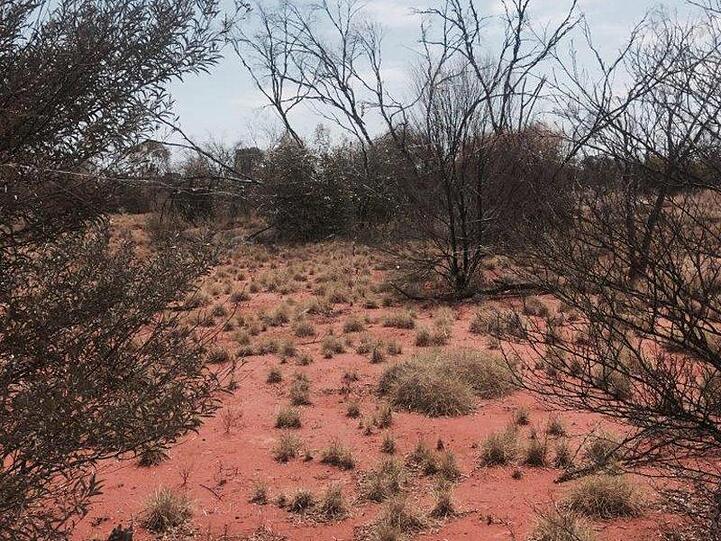 Im australischen Outback erreichen die Temperaturen tagsüber derzeit mehr als 45 Grad.