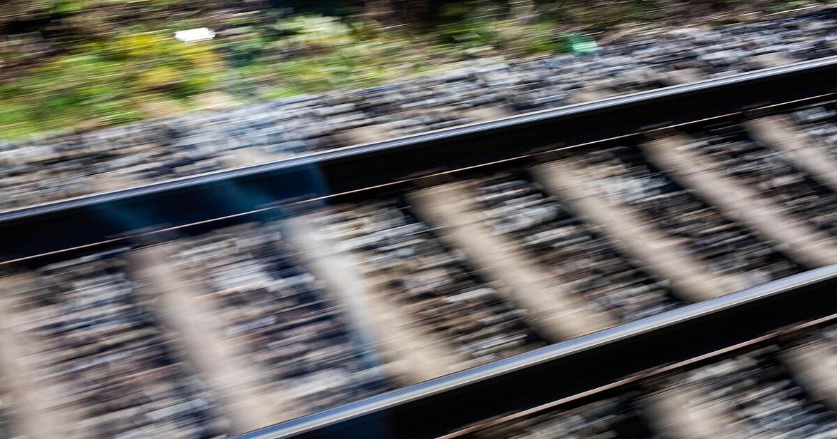 Trag-die-beim-Gassigehen-Mann-und-Hund-von-Zug-erfasst