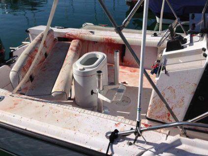 Ein Delfin ist auf ein kleines Boot gesprungen und hat auf dem Deck wild um sich geschlagen. Dabei verletzte er eine Frau. Die Bilder des blutverschmierten Bootes.