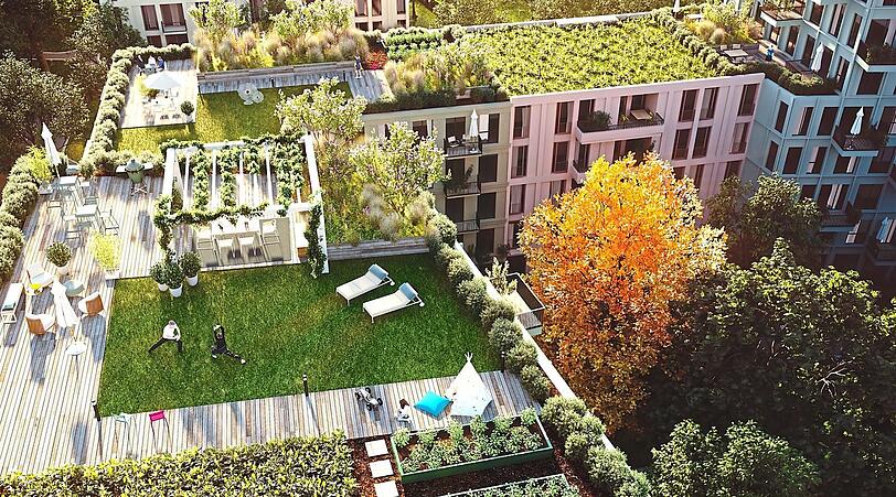 Wenn das Neubauviertel "Kirschgärten" fertig ist, können die neuen Bewohner auf ihren begrünten Gemeinschaftsdachterrassen Salat und Tomaten pflanzen.