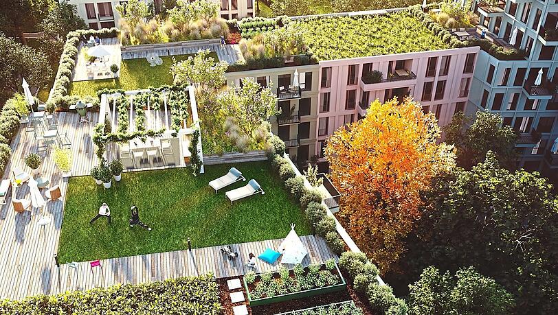 Wenn das Neubauviertel "Kirschgärten" fertig ist, können die neuen Bewohner auf ihren begrünten Gemeinschaftsdachterrassen Salat und Tomaten pflanzen. Wenn das Neubauviertel "Kirschgärten" fertig ist, können die neuen Bewohner auf ihren begrünten Gemeinschaftsdachterrassen Salat und Tomaten pflanzen.