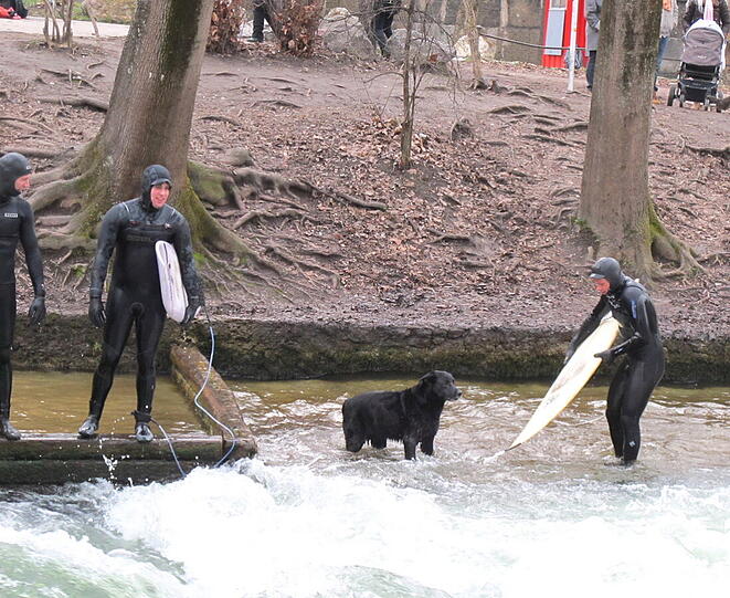 Impressionen vom Eisbach.