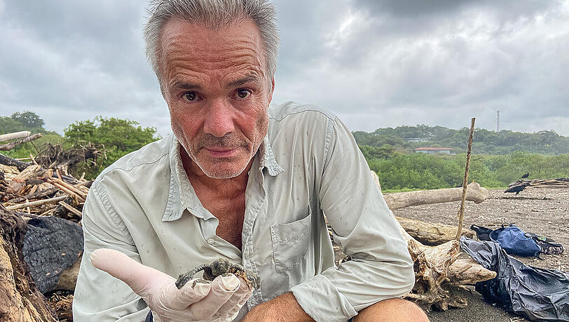 Hannes Jaenicke mit einer frisch geschlüpften Oliv-Bastard-Schildkröte am Strand von Ostional in Costa Rica.