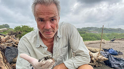 Hannes Jaenicke mit einer frisch geschlüpften Oliv-Bastard-Schildkröte am Strand von Ostional in Costa Rica.