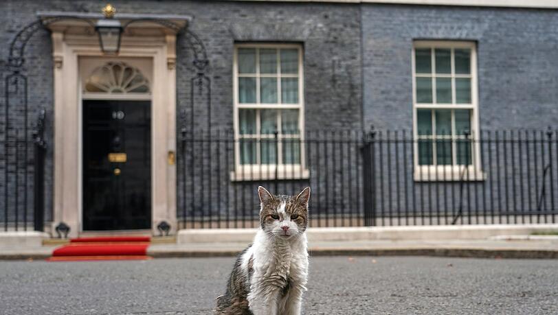 Kater Larry stiehlt Staatsgästen gerne mal die Schau. (Archivbild) Kater Larry stiehlt Staatsgästen gerne mal die Schau. (Archivbild)