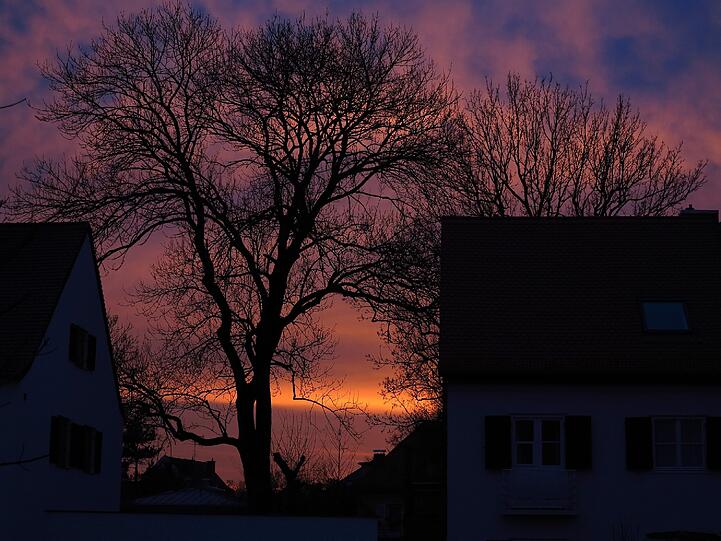Nymphenburg: Abendstimmung in der Nederlinger Straße.