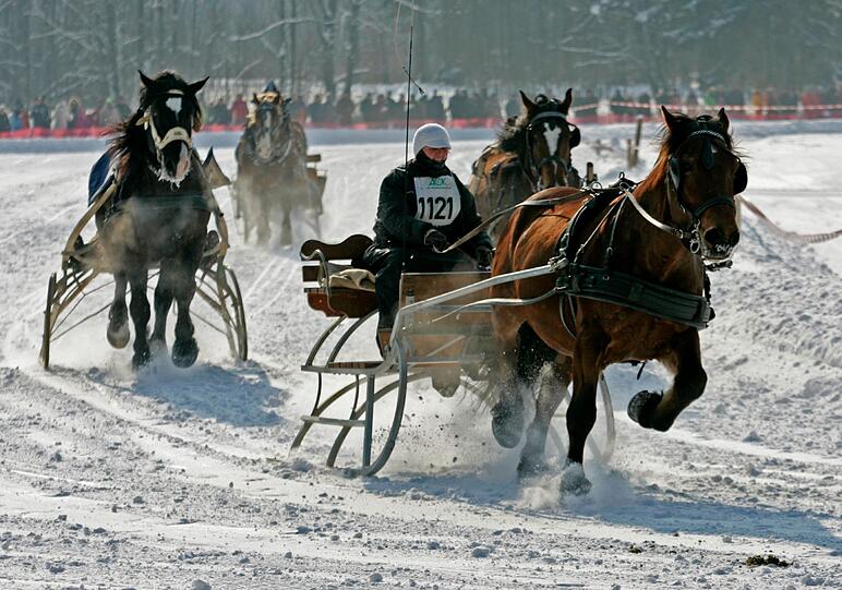 ... Landwirte und Pferdehalter haben sich mit ihren Fahrkünsten bei der traditionellen Veranstaltung gemessen...
