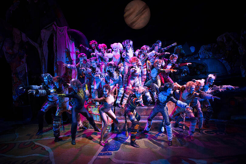 Die berühmtesten Katzen aller Zeiten aus dem Musical CATS erobern endlich auch wieder München!