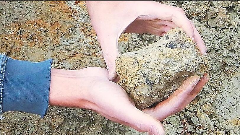 Ein entdeckter Schwanzwirbel &ndash; so groß wie eine Hand.
