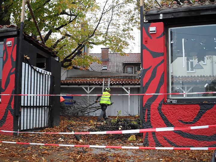 Noch schneiden die Arbeiter erst kleinere Äste aus den Bäumen an der Fraunhoferstraße. Bald fallen die Bäume komplett. Trotz aller Proteste.