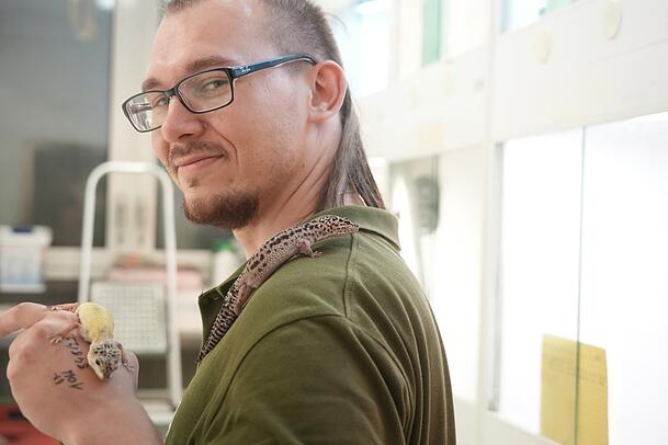 Die zwei Geckos auf dem Arm von Azubi Julian Deuter wurden vor einigen Tagen in München ausgesetzt. Die zwei Geckos auf dem Arm von Azubi Julian Deuter wurden vor einigen Tagen in München ausgesetzt.
