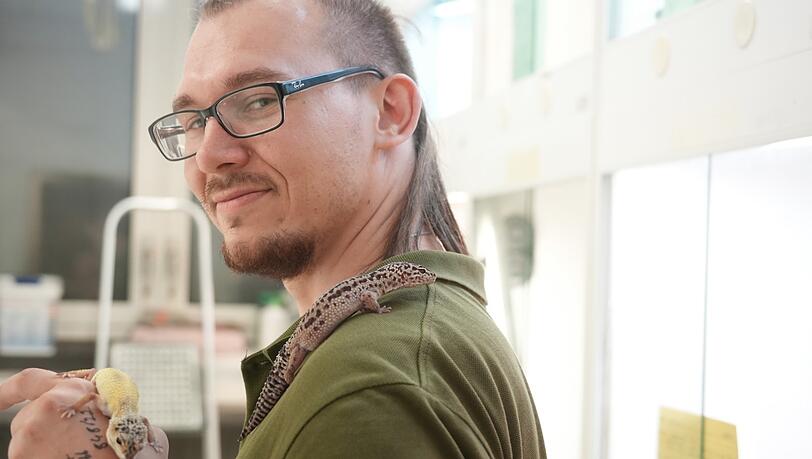 Die zwei Geckos auf dem Arm von Azubi Julian Deuter wurden vor einigen Tagen in München ausgesetzt. Die zwei Geckos auf dem Arm von Azubi Julian Deuter wurden vor einigen Tagen in München ausgesetzt.