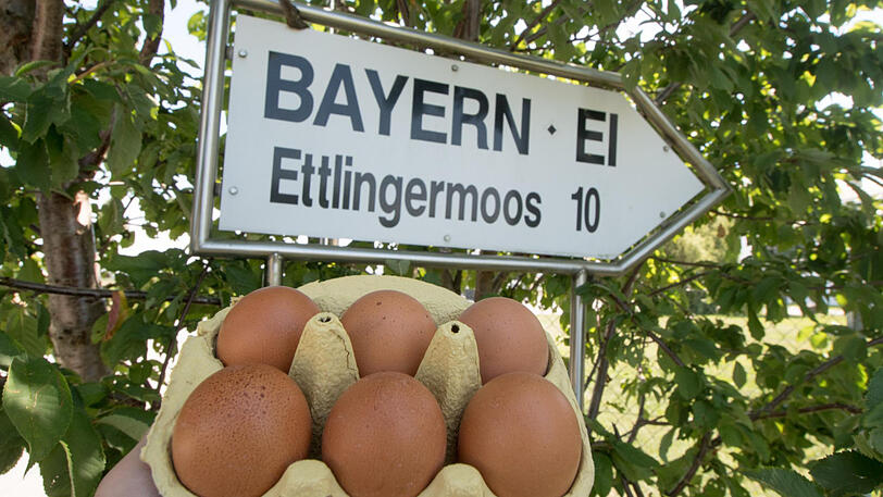 Mittlerweile geschlossen: Die Firma Bayern-Ei in Wallersdorf.