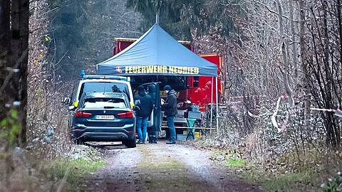 Polizisten durchsuchen ein Waldst&uuml;ck im Forstenrieder Park, in dem die Tote vor knapp einer Woche gefunden worden war.